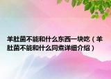 羊肚菌不能和什么东西一块吃（羊肚菌不能和什么同煮详细介绍）
