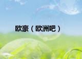 欧豪（欧洲吧）