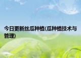 今日更新丝瓜种植(瓜种植技术与管理)
