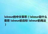 labour的中文意思（labour是什么意思 labour的音标 labour的用法）