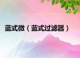 蓝式微（蓝式过滤器）
