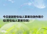 今日更新野生仙人掌果功效作用介绍(野生仙人掌果功效)