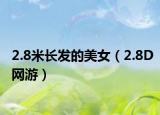 2.8米长发的美女（2.8D网游）