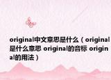 original中文意思是什么（original是什么意思 original的音标 original的用法）