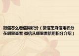 微信怎么看信用积分（微信芝麻信用积分在哪里查看 微信从哪里看信用积分介绍）