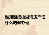 谁知道成山湖湾房产证什么时候办理