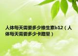 人体每天需要多少维生素b12（人体每天需要多少卡路里）