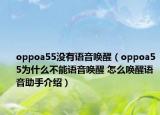 oppoa55没有语音唤醒（oppoa55为什么不能语音唤醒 怎么唤醒语音助手介绍）