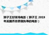 狮子王好莱坞电影（狮子王 2019年美国乔恩费儒执导的电影）