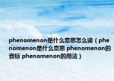 phenomenon是什么意思怎么读（phenomenon是什么意思 phenomenon的音标 phenomenon的用法）