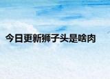 今日更新狮子头是啥肉