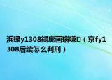 浜琭y1308鍚庣画瑙嗛（京fy1308后续怎么判刑）