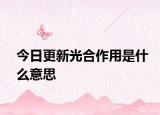 今日更新光合作用是什么意思