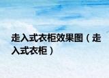 走入式衣柜效果图（走入式衣柜）