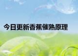 今日更新香蕉催熟原理