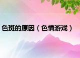 色斑的原因（色情游戏）