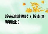岭南湾畔图片（岭南湾畔商业）