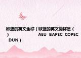欧盟的英文全称（欧盟的英文简称是（　　）                       AEU  BAPEC  COPEC  DUN）