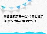 黄玫瑰花语是什么?（黄玫瑰花语 黄玫瑰的花语是什么）