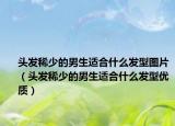 头发稀少的男生适合什么发型图片（头发稀少的男生适合什么发型优质）