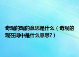 奇观的观的意思是什么（奇观的观在词中是什么意思?）