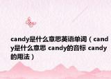candy是什么意思英语单词（candy是什么意思 candy的音标 candy的用法）