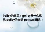 Policy的意思（policy是什么意思 policy的音标 policy的用法）