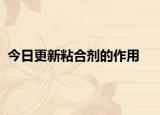 今日更新粘合剂的作用
