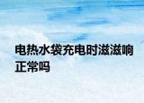 电热水袋充电时滋滋响正常吗