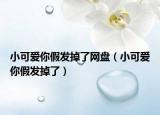 小可爱你假发掉了网盘（小可爱你假发掉了）