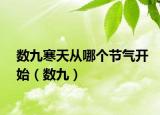 数九寒天从哪个节气开始（数九）
