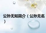 公孙无知简介（公孙无名）