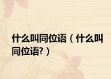 什么叫同位语（什么叫同位语?）