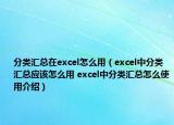 分类汇总在excel怎么用（excel中分类汇总应该怎么用 excel中分类汇总怎么使用介绍）