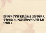 四川专科学校排名及分数线（四川专科大学有哪些 2019四川所有专科大学排名及分数线）