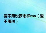 爱不用说罗志祥mv（爱不用说）