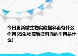 今日更新微生物实验摆斜面有什么作用(微生物实验摆斜面的作用是什么)