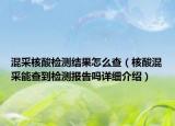 混采核酸检测结果怎么查（核酸混采能查到检测报告吗详细介绍）