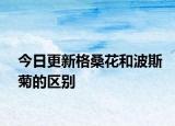今日更新格桑花和波斯菊的区别
