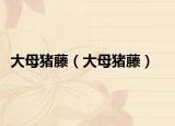 大母猪藤（大母猪藤）