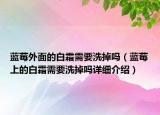 蓝莓外面的白霜需要洗掉吗（蓝莓上的白霜需要洗掉吗详细介绍）