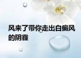 风来了带你走出白癜风的阴霾