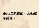 dota单机模式（dota单车简介）
