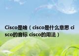 Cisco是啥（cisco是什么意思 cisco的音标 cisco的用法）