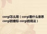 corgi怎么用（corgi是什么意思 corgi的音标 corgi的用法）
