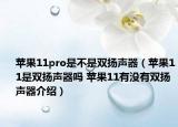 苹果11pro是不是双扬声器（苹果11是双扬声器吗 苹果11有没有双扬声器介绍）