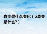 衰变是什么变化（α衰变是什么?）
