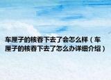 车厘子的核吞下去了会怎么样（车厘子的核吞下去了怎么办详细介绍）