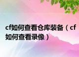 cf如何查看仓库装备（cf如何查看录像）