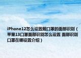 iPhone12怎么设置戴口罩的面部识别（苹果13口罩面部识别怎么设置 面部识别口罩在哪设置介绍）